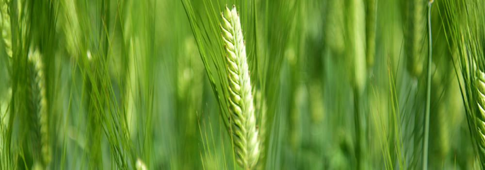 プライバシーポリシー